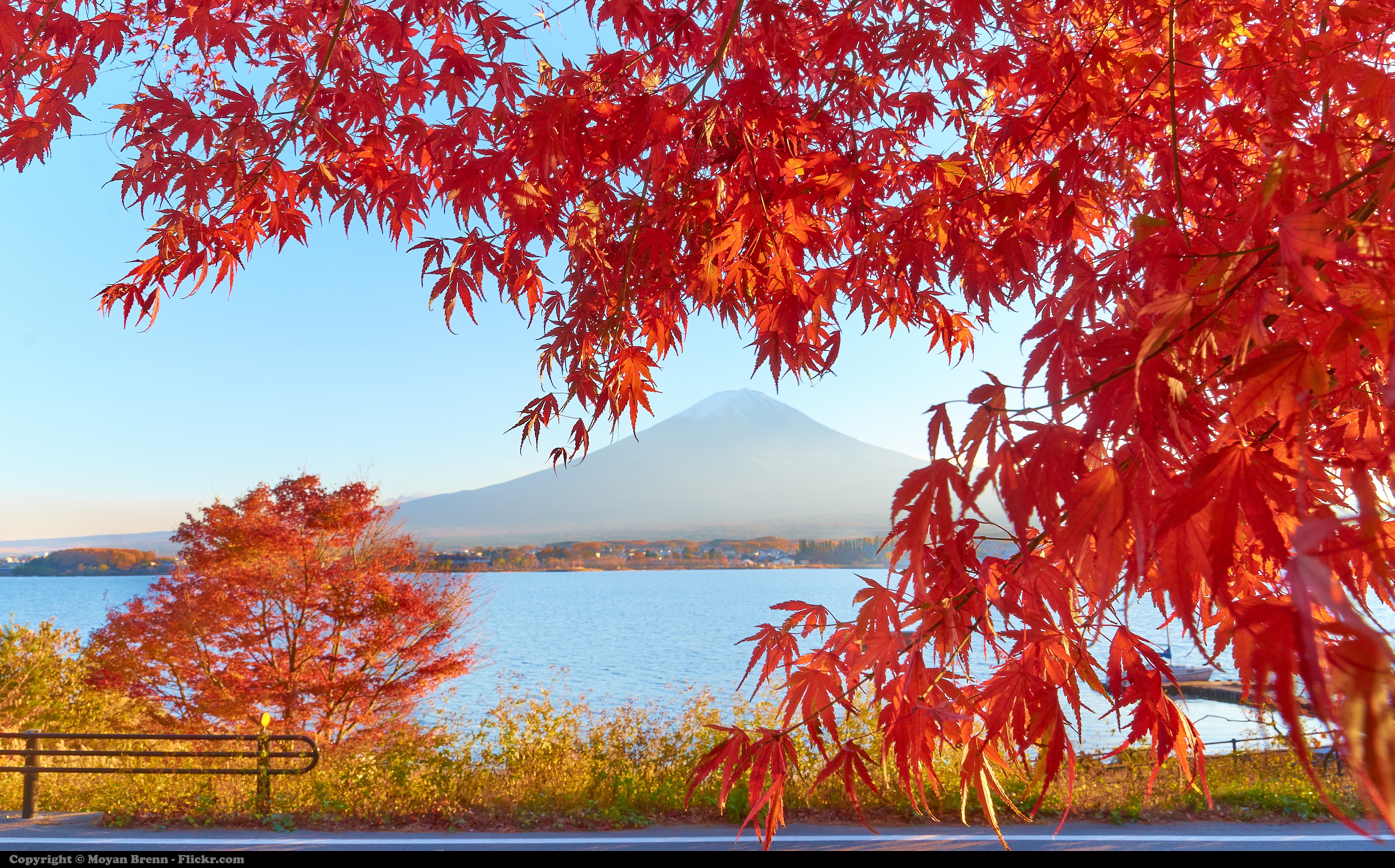 Japan | Flickr - Photo Sharing!